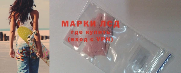 сатива Аркадак