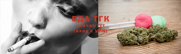 сатива Аркадак