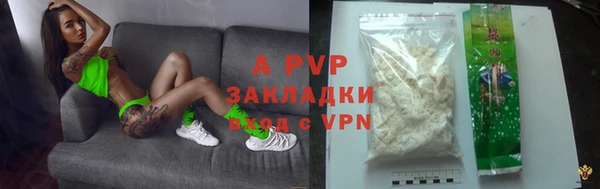 гашик Арсеньев