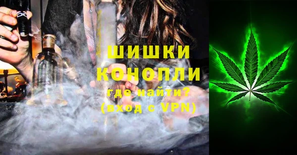сатива Аркадак
