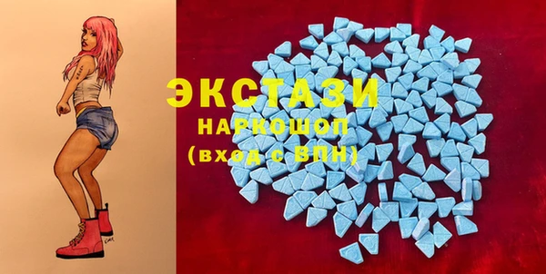 сатива Аркадак